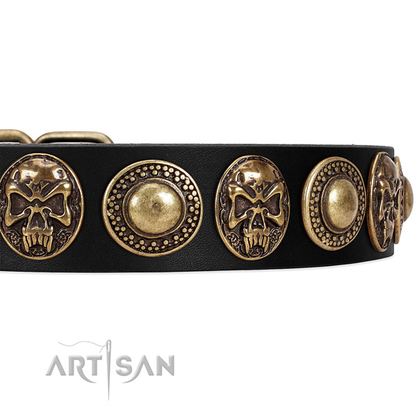 Strong embellishments on leather dog collar for your doggie
