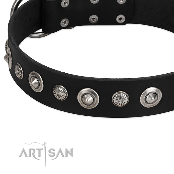 Exquisite adorned dog collar of top notch genuine leather