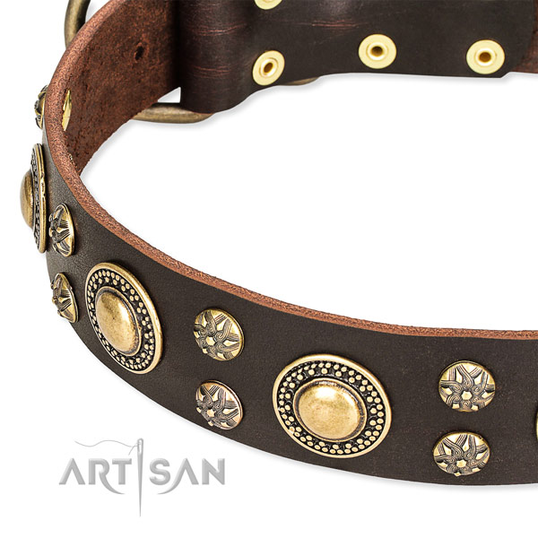 Fancy walking decorated dog collar of quality genuine leather