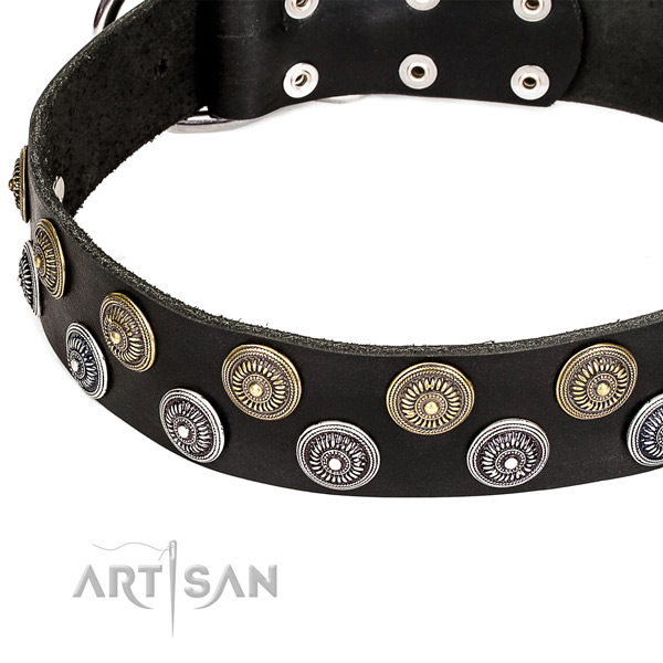 Everyday use adorned dog collar of finest quality full grain genuine leather