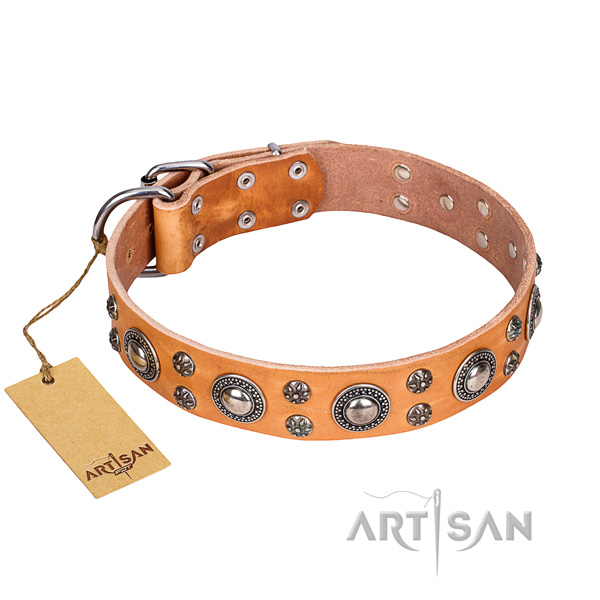 Easy wearing dog collar of best quality full grain leather with adornments