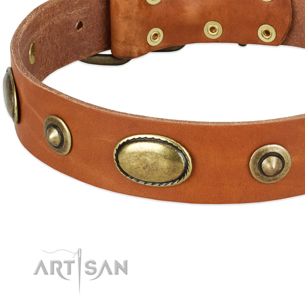 Strong decorations on natural leather dog collar for your dog
