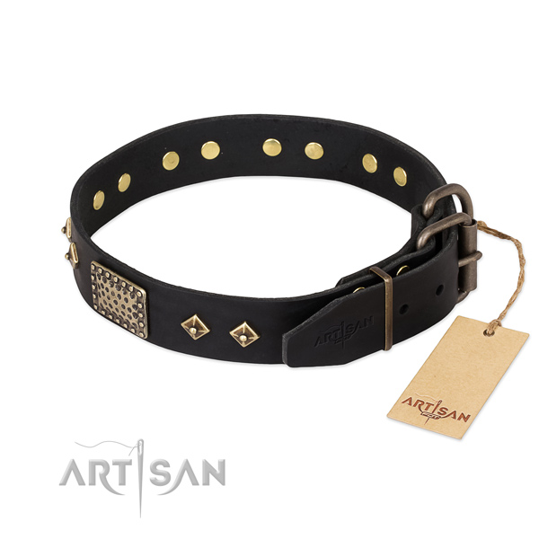 Leather dog collar with strong D-ring and adornments