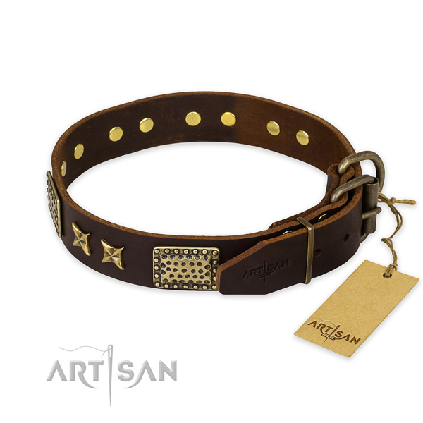 Reliable hardware on leather collar for your handsome dog