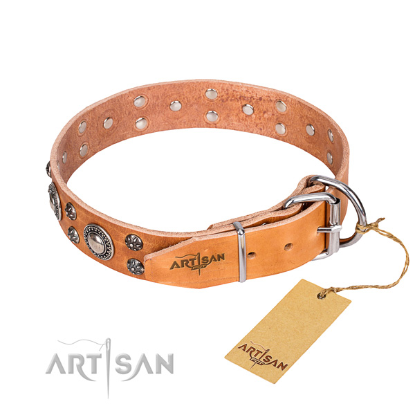 Comfy wearing adorned dog collar of top quality natural leather
