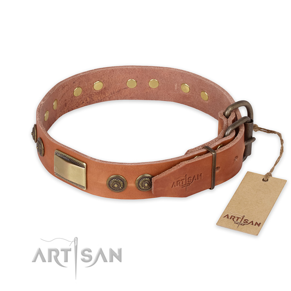 Reliable fittings on full grain natural leather collar for daily walking your four-legged friend