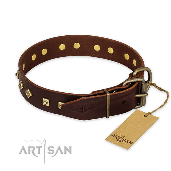 Rust resistant buckle on leather collar for walking your dog