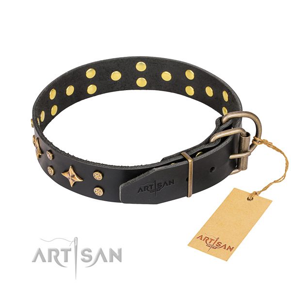Stylish walking decorated dog collar of top notch genuine leather