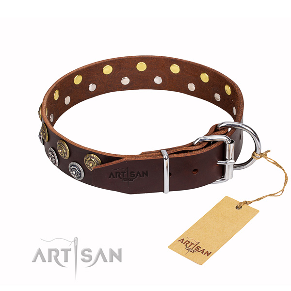 Comfortable wearing studded dog collar of top quality genuine leather