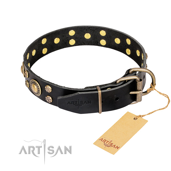 Stylish walking adorned dog collar of reliable natural leather