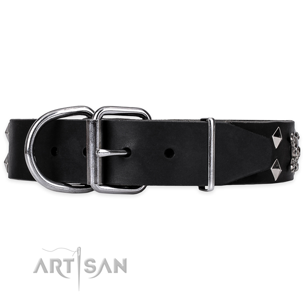 Everyday walking decorated dog collar of durable natural leather