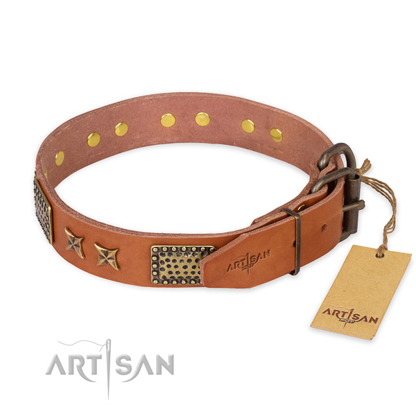 Durable hardware on full grain leather collar for your stylish four-legged friend