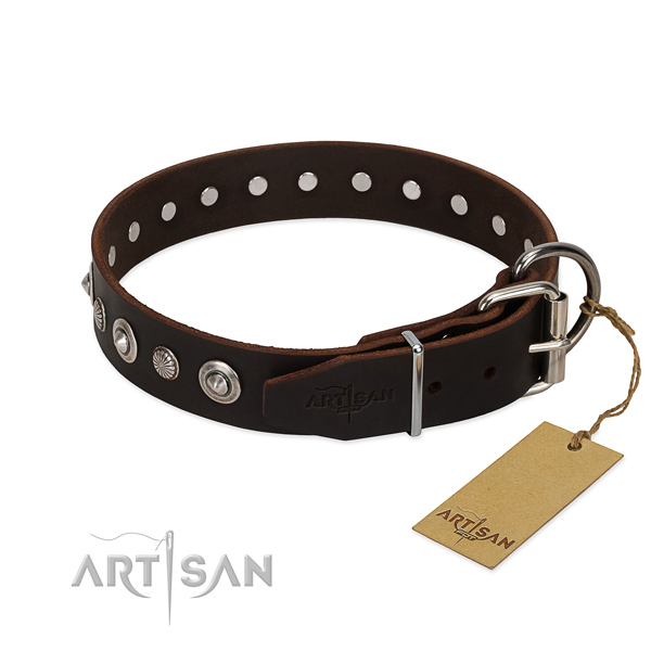 Durable leather dog collar with significant decorations