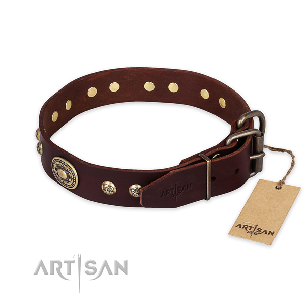 Rust resistant traditional buckle on full grain natural leather collar for daily walking your doggie