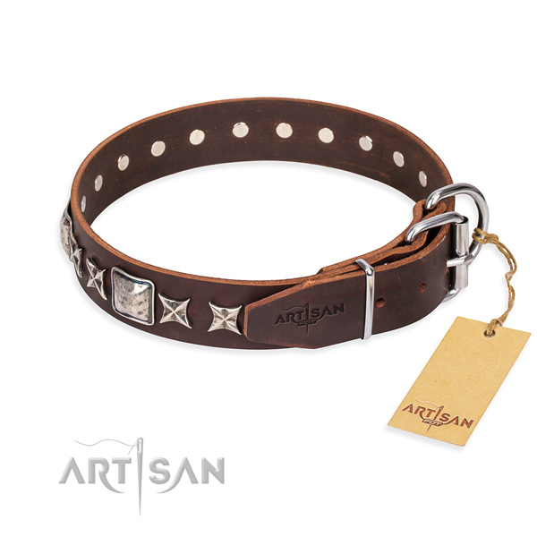 Durable embellished dog collar of leather
