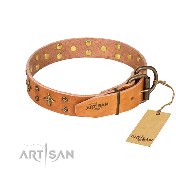 Daily walking adorned dog collar of finest quality full grain natural leather