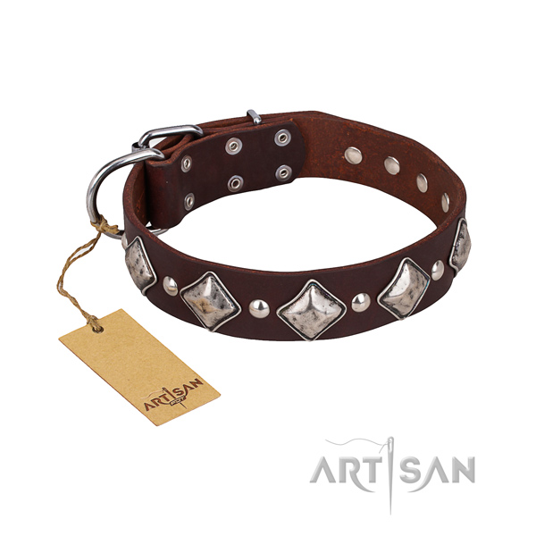 Basic training dog collar of durable genuine leather with studs