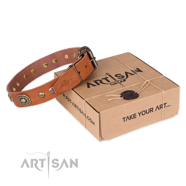 Reliable traditional buckle on natural leather dog collar for daily walking