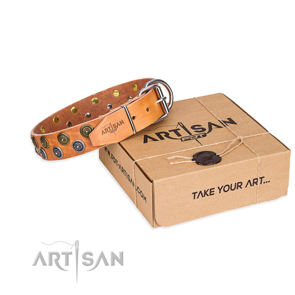 Handy use dog collar of quality full grain genuine leather with decorations