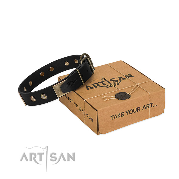 Durable adornments on dog collar for walking