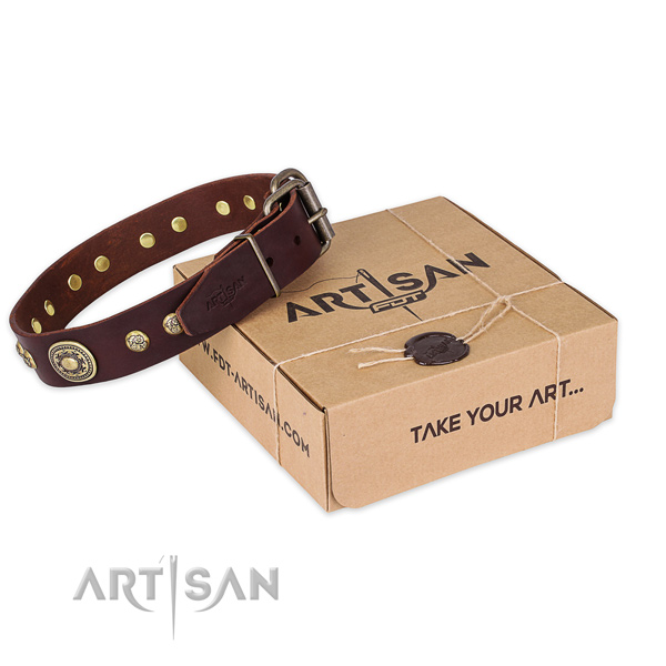 Reliable fittings on genuine leather dog collar for daily walking