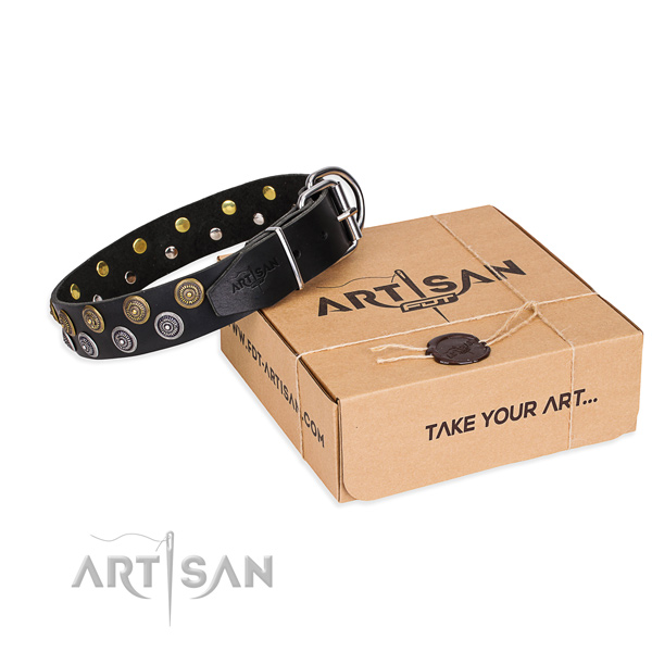 Fancy walking dog collar of reliable genuine leather with adornments