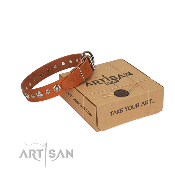Durable full grain leather dog collar with exquisite adornments