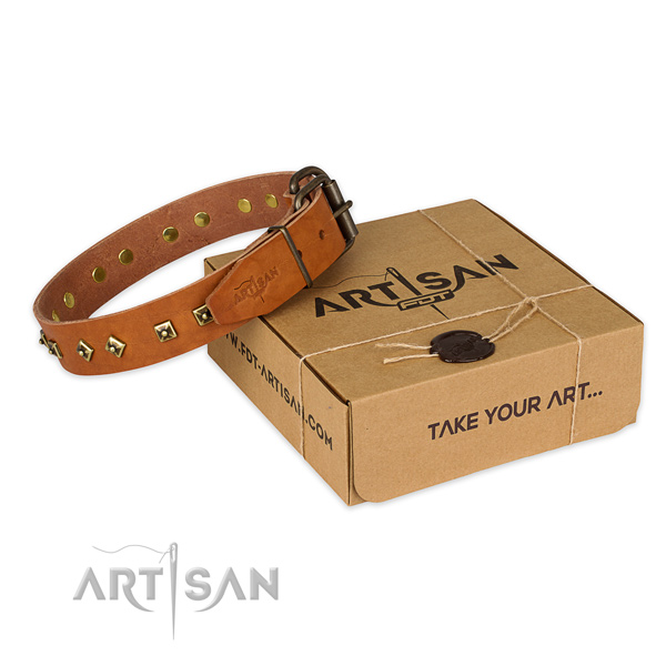 Rust-proof D-ring on natural leather dog collar for everyday walking