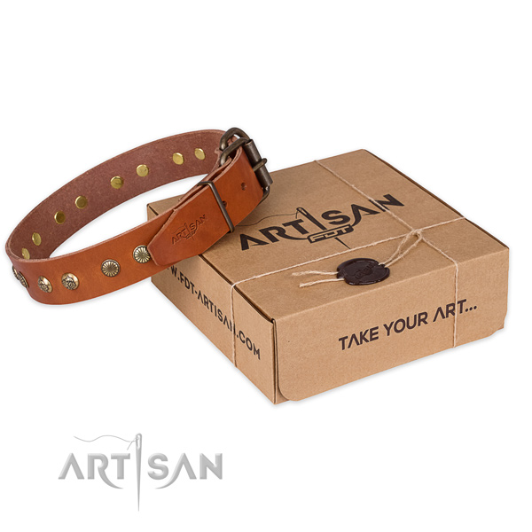 Strong buckle on full grain natural leather collar for your stylish canine