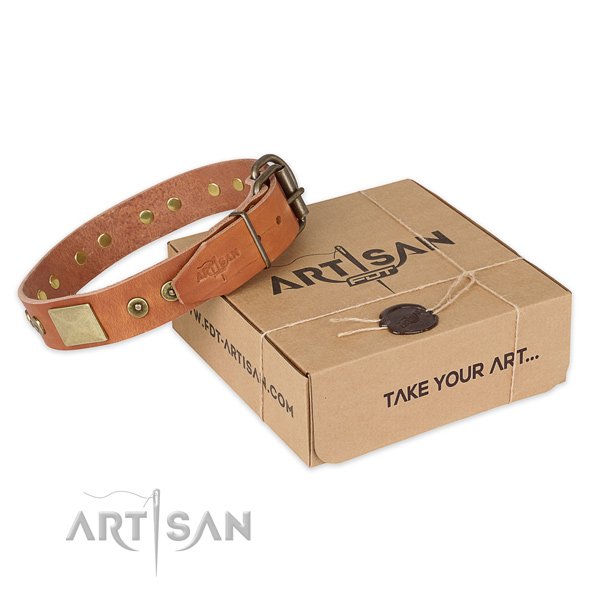 Rust resistant traditional buckle on natural genuine leather dog collar for basic training
