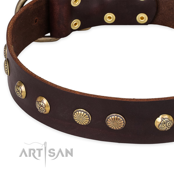 Full grain leather collar with rust resistant traditional buckle for your impressive four-legged friend
