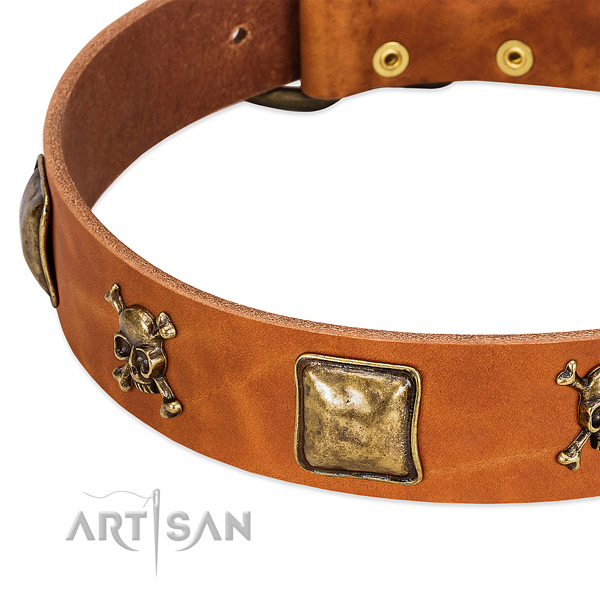 Extraordinary leather dog collar with durable embellishments