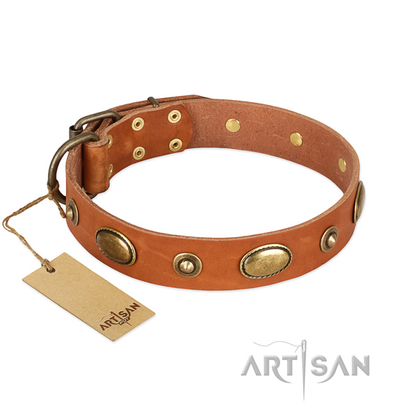 Easy wearing full grain leather collar for your dog