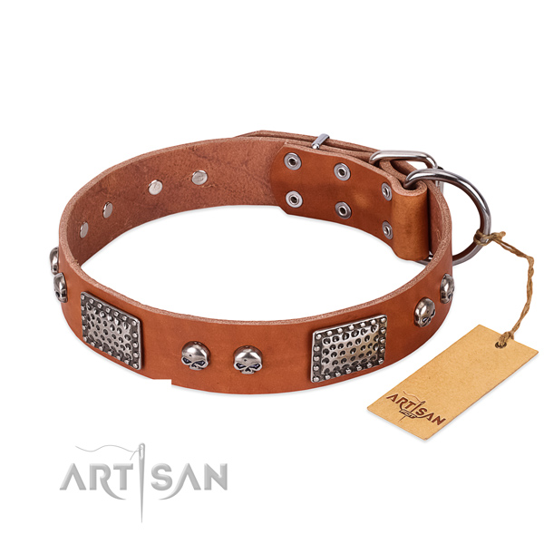 Easy adjustable natural genuine leather dog collar for walking your four-legged friend