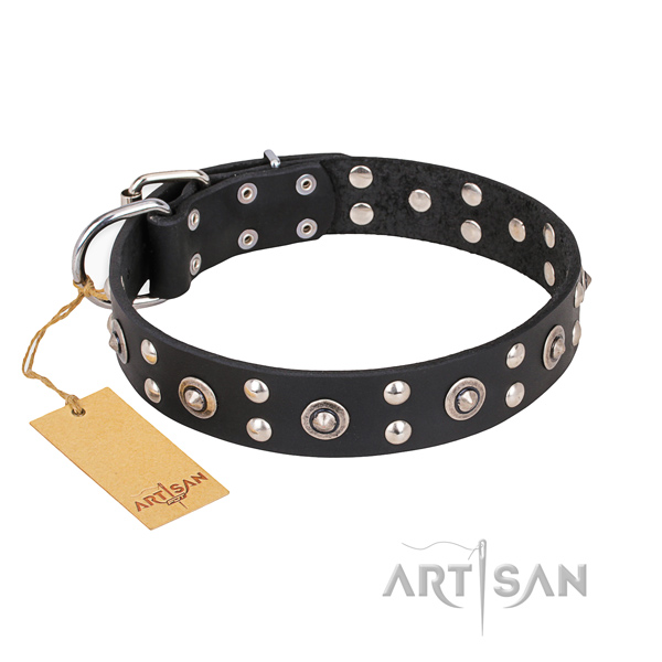 Comfortable wearing designer dog collar with rust-proof buckle