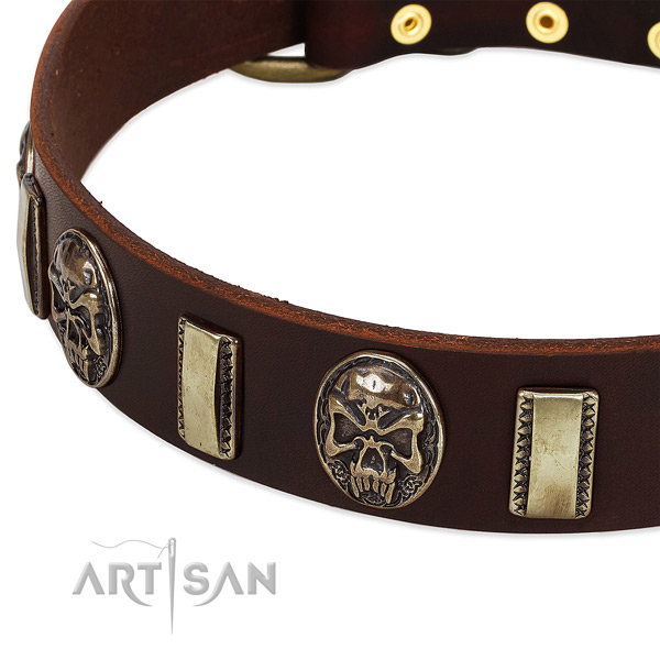 Rust resistant embellishments on leather dog collar for your four-legged friend