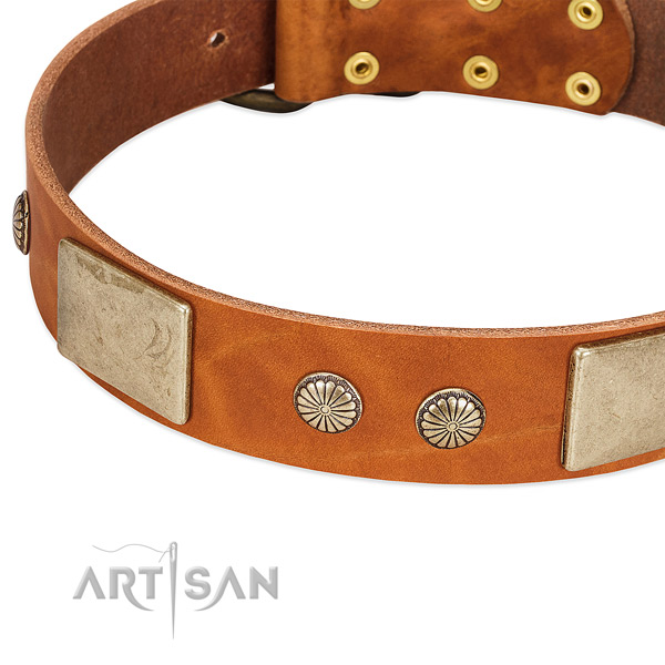 Strong fittings on full grain genuine leather dog collar for your canine