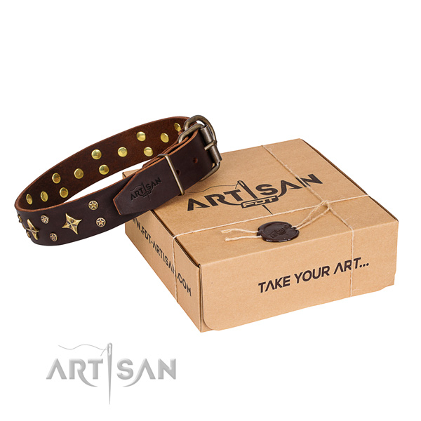 Daily walking dog collar of finest quality leather with studs