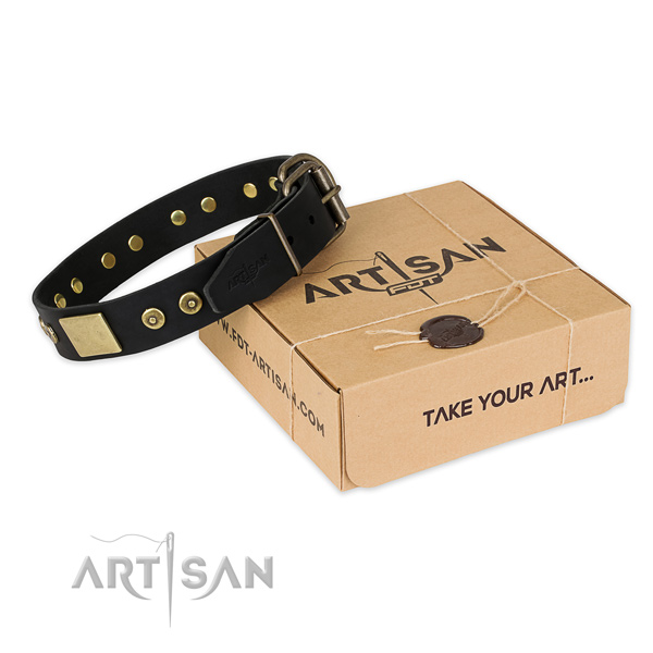 Reliable hardware on leather dog collar for comfy wearing