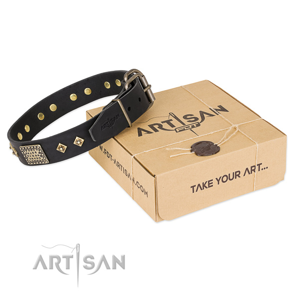 Extraordinary leather collar for your impressive pet