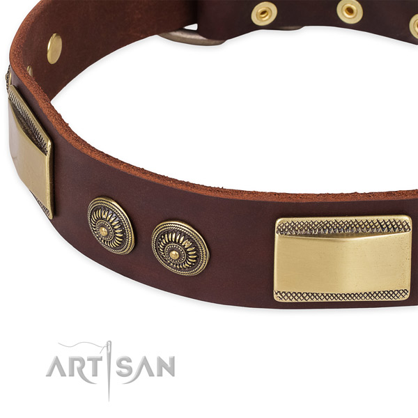 Significant genuine leather collar for your lovely dog
