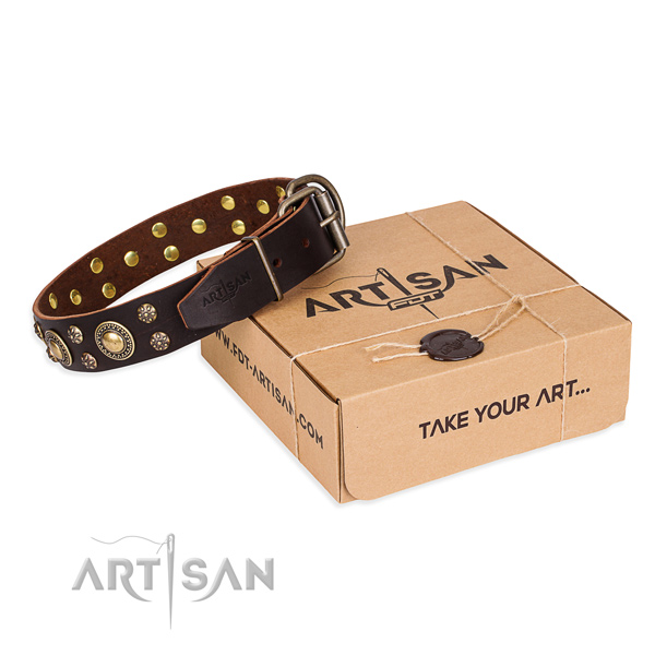 Everyday walking dog collar of finest quality leather with decorations