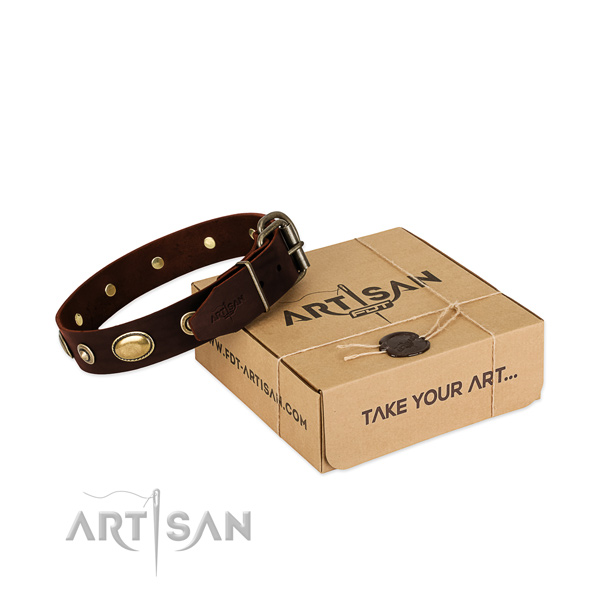 Rust-proof studs on full grain natural leather dog collar for your dog