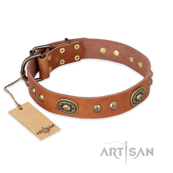 Awesome full grain leather dog collar for walking