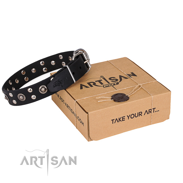 Easy wearing dog collar with Fashionable rust resistant decorations