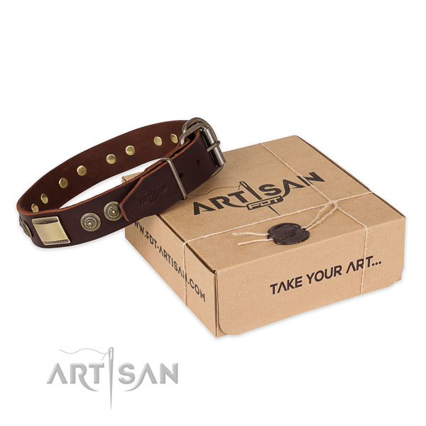 Reliable hardware on full grain natural leather dog collar for walking
