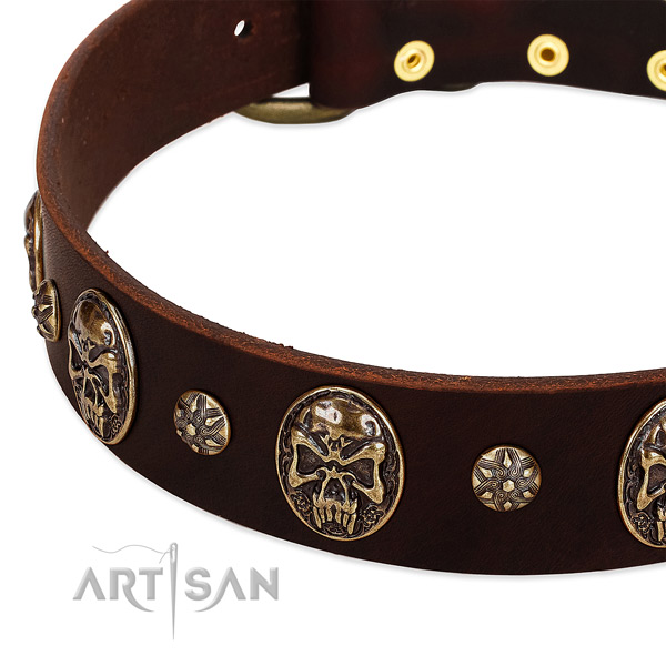 Rust-proof fittings on full grain genuine leather dog collar for your dog