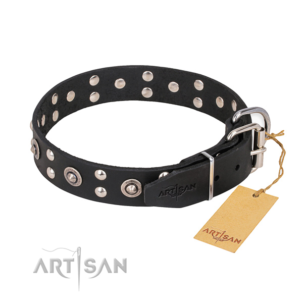 Natural leather dog collar with designer rust resistant embellishments