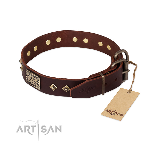 Leather dog collar with corrosion proof D-ring and embellishments