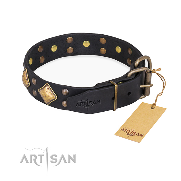 Leather dog collar with fashionable rust resistant adornments